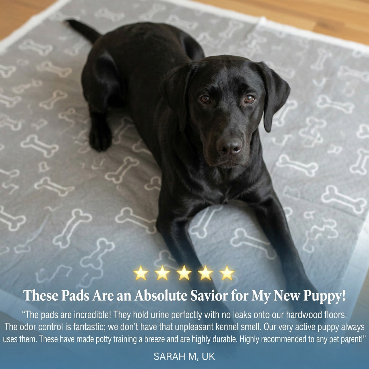 Pup Pad By VolaPet