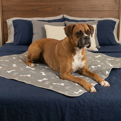 Pup Pad By VolaPet